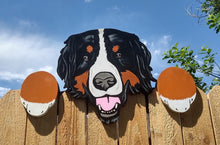 Load image into Gallery viewer, Bernese Mountain Dog Fence Peeker Yard Art Garden Playground Decorative Sign