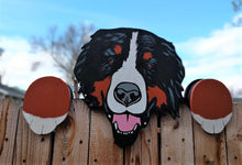 Load image into Gallery viewer, Bernese Mountain Dog Fence Peeker Yard Art Garden Playground Decorative Sign