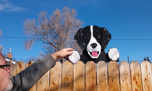 Load image into Gallery viewer, English Spaniel Fence Peeker Yard Art Garden Decorative Sign