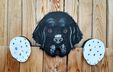 Load image into Gallery viewer, Newfoundland Dog Fence Peeker Yard Art Garden Decorative Sign