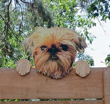 Load image into Gallery viewer, Perfect Pet Picture Peeker Fence Topper Decorative Sign