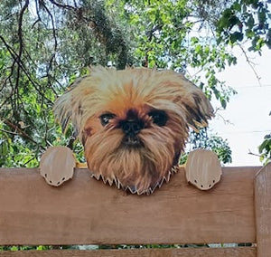 Perfect Pet Picture Peeker Fence Topper Decorative Sign