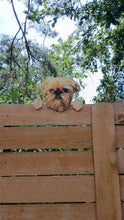 Load image into Gallery viewer, Perfect Pet Picture Peeker Fence Topper Decorative Sign