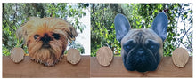 Load image into Gallery viewer, Perfect Pet Picture Peeker Fence Topper Decorative Sign