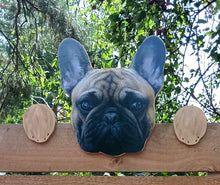 Load image into Gallery viewer, Perfect Pet Picture Peeker Fence Topper Decorative Sign