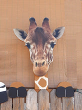 Load image into Gallery viewer, Giraffe Picture Peeker Fence Topper Decorative Sign 27 x 19 inches