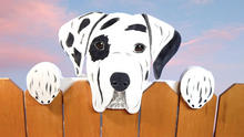 Load image into Gallery viewer, Harlequin Great Dane Dog Fence Peeker Yard Art Garden Playground Decoration