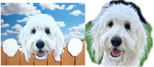 Load image into Gallery viewer, Perfect Pet Picture Peeker Fence Topper Decorative Sign