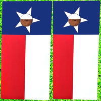 Texas State Flag Cornhole Bean Bag Game Set Regulation Size 24 x 48