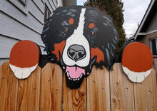 Load image into Gallery viewer, Bernese Mountain Dog Fence Peeker Yard Art Garden Playground Decoration
