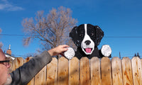 Black and White Spaniel Fence Peeker Yard Art Garden Playground Decoration