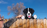 Black and White Spaniel Fence Peeker Yard Art Garden Playground Decoration