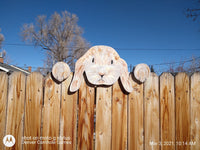 Lop Eared Bunny Rabbit Fence Peeker Yard Art Garden Playground Decoration